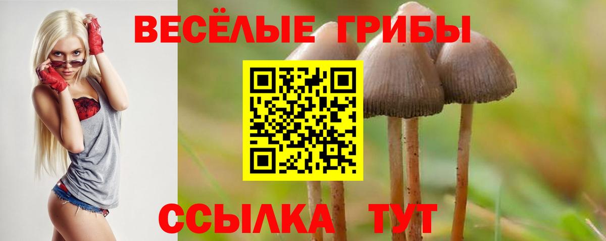Галлюциногенные грибы Cubensis  Вход с VPN  Набережные Челны 