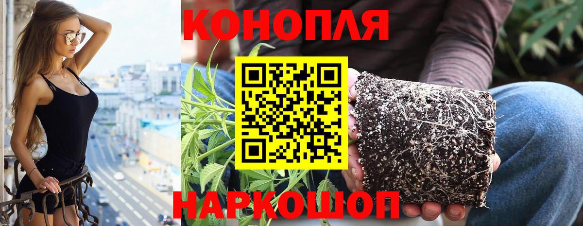 Бошки Шишки AK-47  Бошки марихуана SATIVA & INDICA  Набережные Челны  Вход с VPN 
